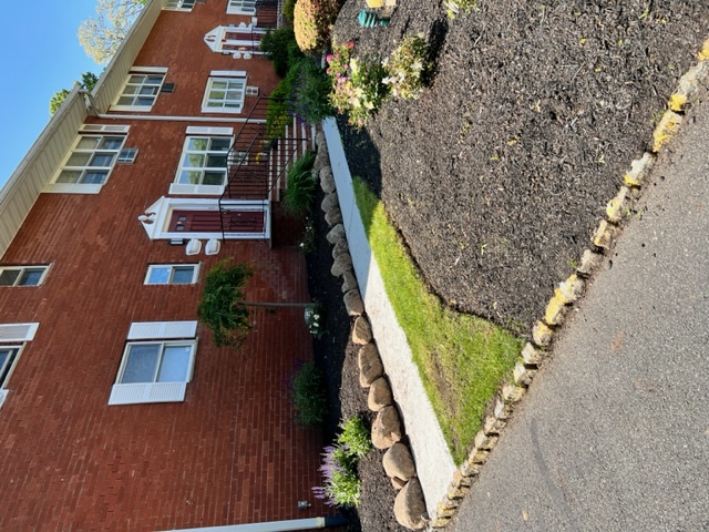 lawnscaping